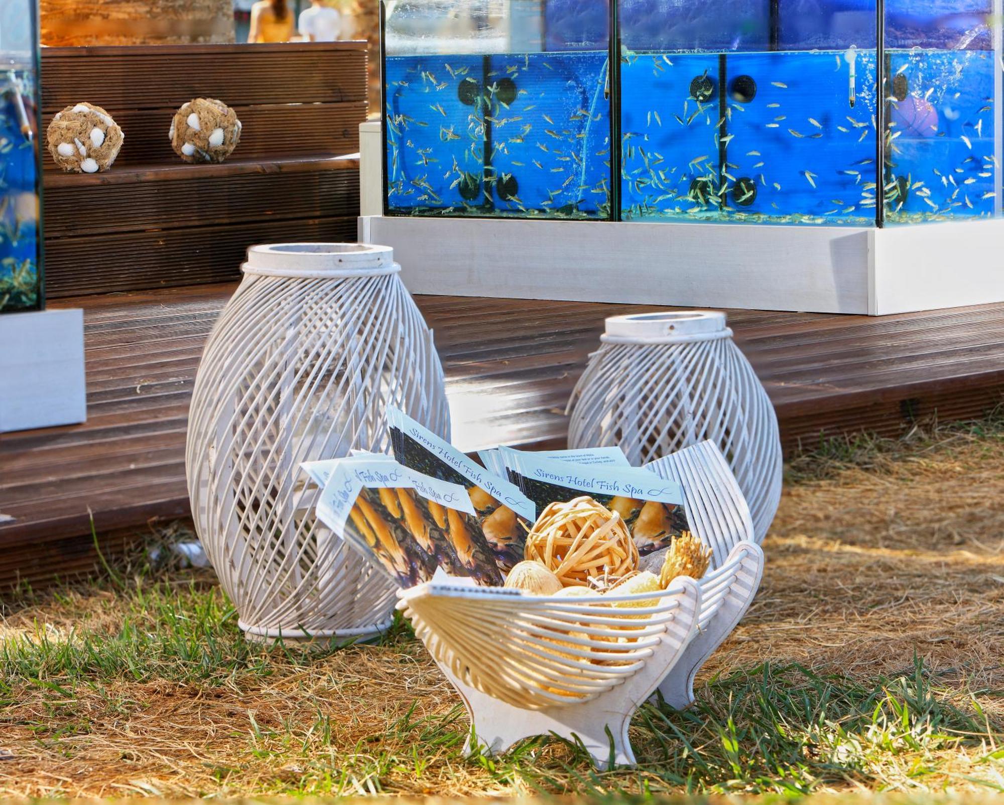 Sirens Beach & Village Malia Exteriör bild